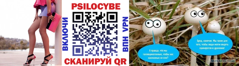 Купить где  Высоцк  Псилоцибиновые грибы Magic Shrooms 
